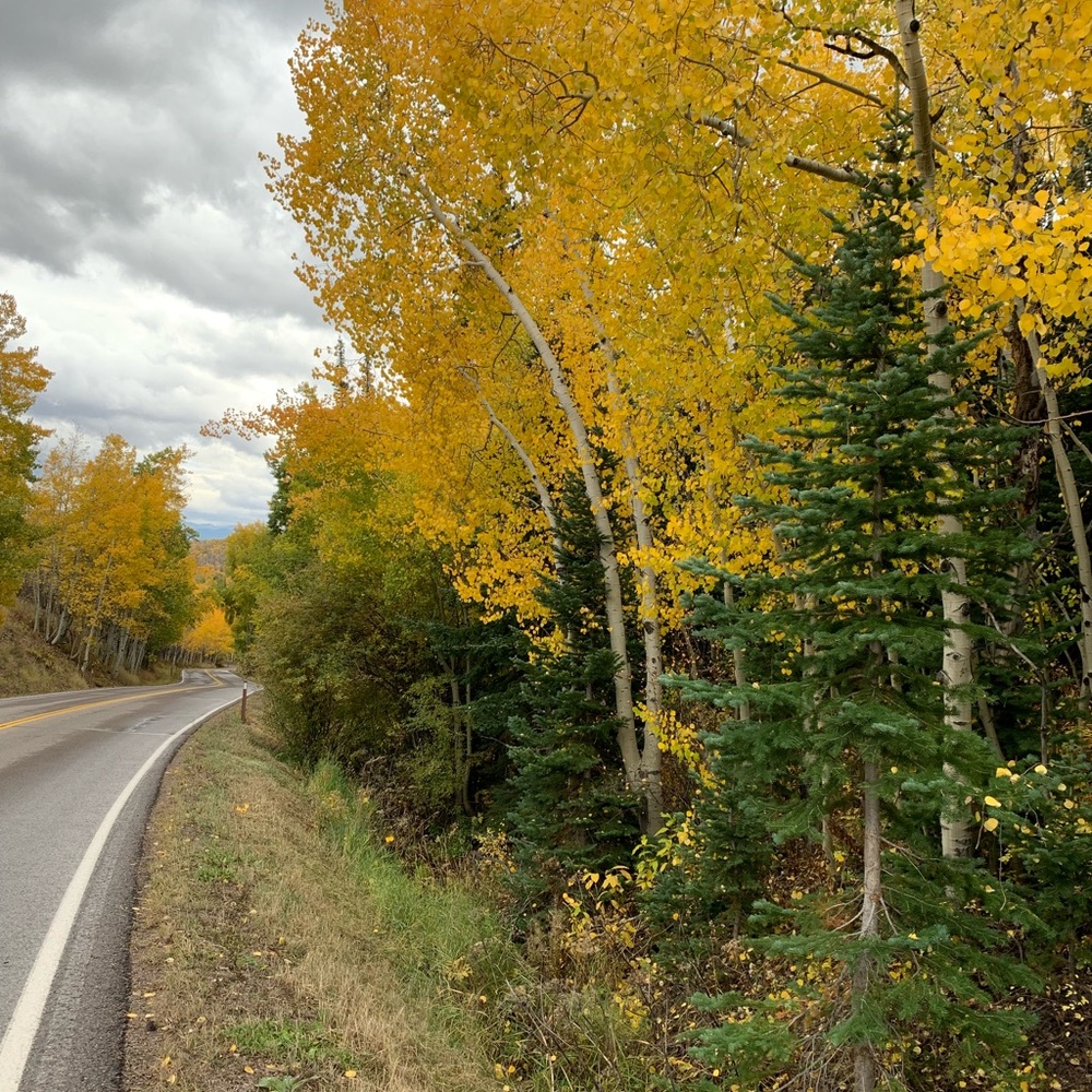 Meet your Posher, Ruzica